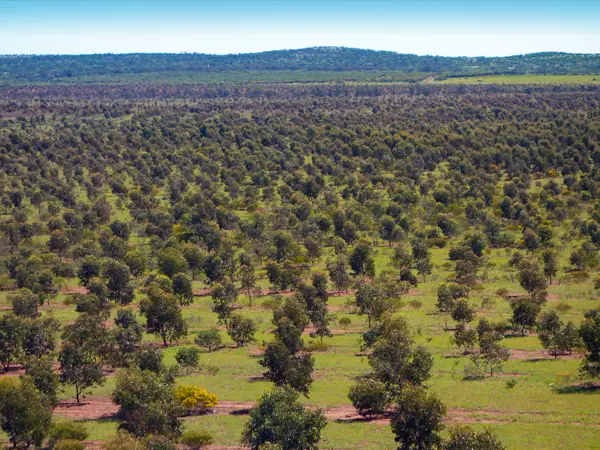 Yarra Yarra Biodiversity