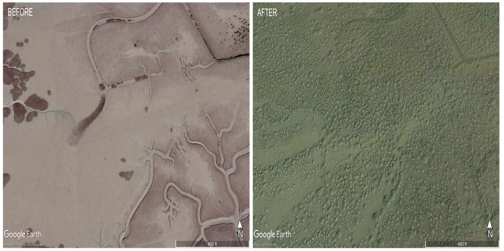 Due Diligence Diagram