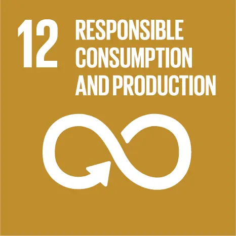 12 - Responsible Consumption and Production